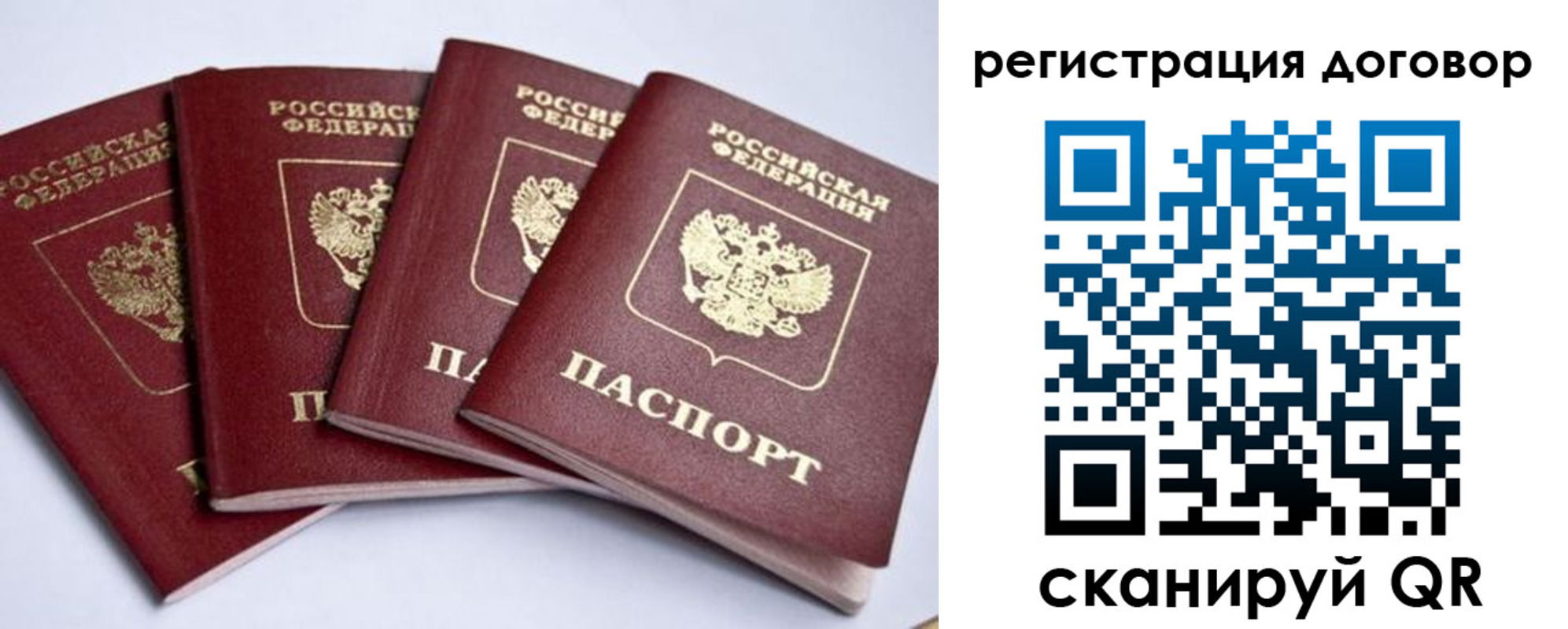 прописка поиск в Борзе
