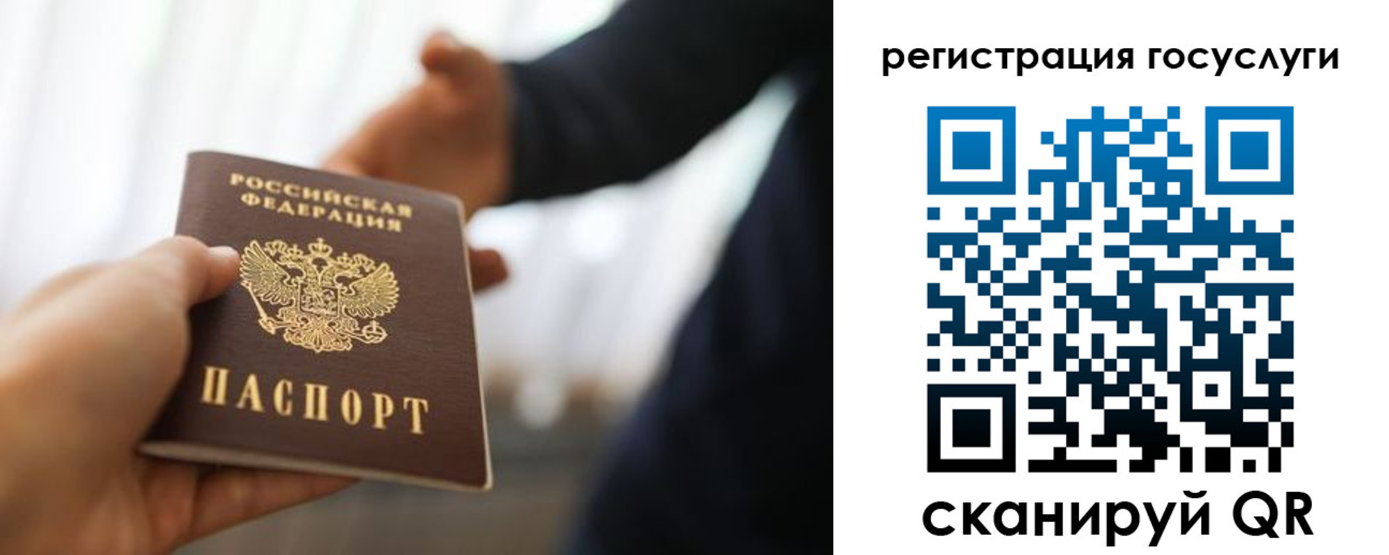 прописка в Борзе